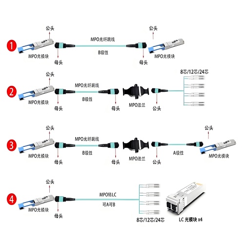 公頭母頭(1).jpg